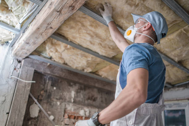 Best Insulation Maintenance and Repair in Bassett, VA