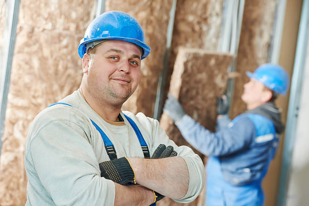 Best Insulation Maintenance and Repair in Bassett, VA